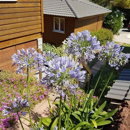 Parc Residentiel Les Hauts De Baldy 홀리데이파크 아그
