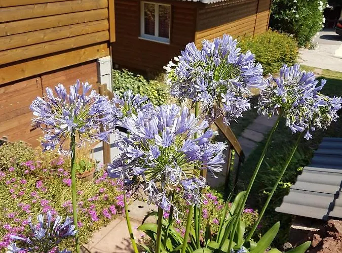 Parc Residentiel Les Hauts De Baldy База відпочинку Агд