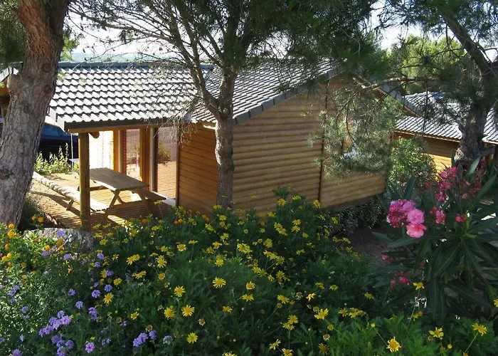 Parc Residentiel Les Hauts De Baldy ホリデーパーク